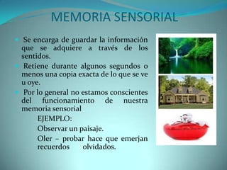 MEMORIA SENSORIAL
 Se encarga de guardar la información

que se adquiere a través de los
sentidos.
 Retiene durante algunos segundos o
menos una copia exacta de lo que se ve
u oye.
 Por lo general no estamos conscientes
del funcionamiento de nuestra
memoria sensorial
EJEMPLO:
Observar un paisaje.
Oler – probar hace que emerjan
recuerdos
olvidados.

 
