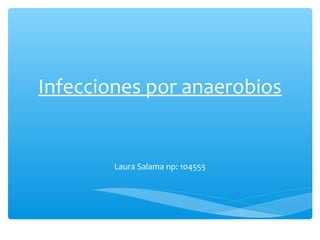 Infecciones por anaerobios
Laura Salama np: 104555
 