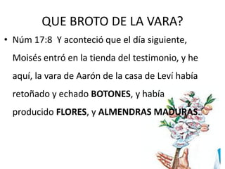 Exposicion la vara de aarón florece [autoguardado] PDF