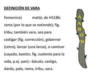 Exposicion la vara de aarón florece [autoguardado] | PDF