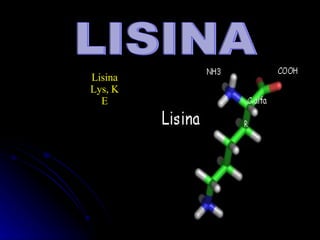 LISINA Lisina Lys, K E 