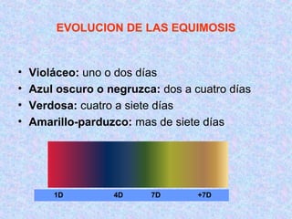 1D 4D 7D +7D
EVOLUCION DE LAS EQUIMOSIS
• Violáceo: uno o dos días
• Azul oscuro o negruzca: dos a cuatro días
• Verdosa: cuatro a siete días
• Amarillo-parduzco: mas de siete días
 