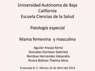 Universidad Autónoma de Baja
California
Escuela Ciencias de la Salud
Patología especial
Mama femenina y masculina
Aguilar Araujo Kenia
Gonzalez Gortazar Gabriela
Rembao Hernandez Alejandra
Rivera Beltran Thelma Alina
Ensenada B. C. Martes 22 de Abril del 2014
 