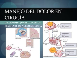 MANEJO DEL DOLOR EN
CIRUGÍA
DR. ROMMEL JUAREZ ZEVALLOS
RESIDENTE DE ANESTESIOLOGIA
HRMNB.
 