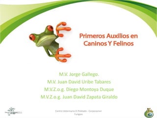 M.V. Jorge Gallego. M.V. Juan David Uribe Tabares  M.V.Z.o.g. Diego Montoya Duque M.V.Z.o.g. Juan David Zapata Giraldo 05/03/2011 1 Centro Veterinario El Poblado - Corporacion Fungaia 