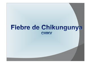 Dra. Blanca Márquez Gutiérrez 
 