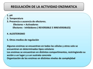 REGULACIÓN DE LA ACTIVIDAD ENZIMATICA
1. pH
2. Temperatura
3. Presencia o ausencia de efectores.
Efectores + Activadores
Efectores - Inhibidores ( REVERSIBLE E IRREVERSIBLES)
4. ALOSTERISMO
5. Otros medios de regulación
Algunos enzimas se encuentran en todas las células y otros solo se
encuentran en determinados tipos celulares
Los enzimas se encuentran en distintos compartimentos, restringiendo su
acción a un lugar y a un sustrato concreto
Organización de los enzimas en distintos niveles de complejidad
 