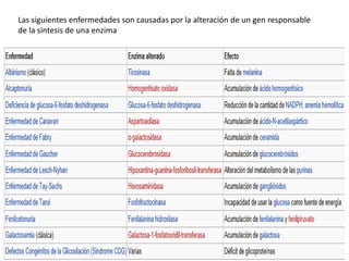 Las siguientes enfermedades son causadas por la alteración de un gen responsable
de la síntesis de una enzima
 