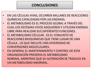 CONCLUSIONES
• EN LAS CÉLULAS VIVAS, OCURREN MILLARES DE REACCIONES
QUÍMICAS CATALIZADAS POR LAS ENZIMAS.
• EL METABOLISMO ES EL PROCESO GLOBAL A TRAVÉS DEL
CUAL LOS SISTEMAS VIVOS ADQUIEREN Y UTILIZAN ENERGIA
LIBRE PARA REALIZAR SUS DIFERENTES FUNCIONES.
• EL METABOLISMO CÉLULAR , ES EL CONJUNTO DE
REACCIONES BIOQUÍMICAS QUE TIENE LUGAR DE UNA
CÉLULA , LO QUE INCLUYE UNA DIVERSIDAD DE
CONVERSIONES MOLECULARES.
• EN GENERAL EL MANTENIMIENTO Y CONTROL DE ESTA
ORGANIZACIÓN PRESERVA EL METABOLISMO
NORMAL, MIENTRAS QUE SU ALTERACIÓN SE TRADUCE EN
UN METABOLISMO ANORMAL.
 