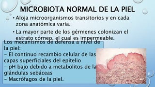 MICROBIOTA NORMAL DE LA PIEL
• Aloja microorganismos transitorios y en cada
zona anatómica varia.
• La mayor parte de los gérmenes colonizan el
estrato córneo, el cual es impermeable.
Los mecanismos de defensa a nivel de
la piel:
- El continuo recambio celular de las
capas superficiales del epitelio
- pH bajo debido a metabolitos de las
glándulas sebáceas
- Macrófagos de la piel.
 