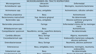 MICROORGANISMOS DEL TRACTO RESPIRATORIO
Microorganismo Ubicación Enfermedad
Acinetobacter spp. Nasofárinx Meningitis, neumonía bacteriana
Actinomyces spp. Boca, amígdalas Actinomicosis, cálculos salivales
Arachnia propionica Boca Actinomicosis
Bacterionema matruchotii Sup. dentaria gingival No determinada
Bacteroides spp. Boca, amígdalas Absceso pulmonar grangrena
pulmonar
Bacteroides pneuosintes Faringe Enfermedad crónica de las meninges
(rara).
Bifidobacterium spp. Boca Actinomicosis.
Campylobacter sputorum Nasofárinx, encías, superficie dentaria,
saliva
No determinada
Candida albicans Boca, faringe Algorra, neumonitis
Corynebacterium spp. Boca, nariz Endocarditis bacteriana subaguda,
absceso pulmonar
Enterobacteriaceae Boca, faringe Neumonía, absceso pulmonar
Enterococcus Boca, amígdalas, nariz Bacteremia, meningitis, neumonía,
endocarditis
Eubacterium spp. Boca No determinada
 