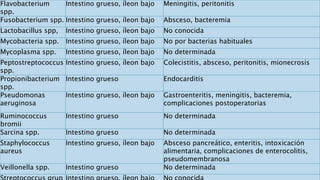 Flavobacterium
spp.
Intestino grueso, íleon bajo Meningitis, peritonitis
Fusobacterium spp. Intestino grueso, íleon bajo Absceso, bacteremia
Lactobacillus spp, Intestino grueso, íleon bajo No conocida
Mycobacteria spp. Intestino grueso, íleon bajo No por bacterias habituales
Mycoplasma spp. Intestino grueso, íleon bajo No determinada
Peptostreptococcus
spp.
Intestino grueso, íleon bajo Colecistitis, absceso, peritonitis, mionecrosis
Propionibacterium
spp.
Intestino grueso Endocarditis
Pseudomonas
aeruginosa
Intestino grueso, íleon bajo Gastroenteritis, meningitis, bacteremia,
complicaciones postoperatorias
Ruminococcus
bromii
Intestino grueso No determinada
Sarcina spp. Intestino grueso No determinada
Staphylococcus
aureus
Intestino grueso, íleon bajo Absceso pancreático, enteritis, intoxicación
alimentaria, complicaciones de enterocolitis,
pseudomembranosa
Veillonella spp. Intestino grueso No determinada
 