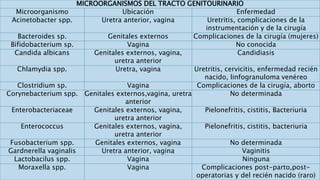MICROORGANISMOS DEL TRACTO GENITOURINARIO
Microorganismo Ubicación Enfermedad
Acinetobacter spp. Uretra anterior, vagina Uretritis, complicaciones de la
instrumentación y de la cirugía
Bacteroides sp. Genitales externos Complicaciones de la cirugía (mujeres)
Bifidobacterium sp. Vagina No conocida
Candida albicans Genitales externos, vagina,
uretra anterior
Candidiasis
Chlamydia spp. Uretra, vagina Uretritis, cervicitis, enfermedad recién
nacido, linfogranuloma venéreo
Clostridium sp. Vagina Complicaciones de la cirugía, aborto
Corynebacterium spp. Genitales externos,vagina, uretra
anterior
No determinada
Enterobacteriaceae Genitales externos, vagina,
uretra anterior
Pielonefritis, cistitis, Bacteriuria
Enterococcus Genitales externos, vagina,
uretra anterior
Pielonefritis, cistitis, bacteriuria
Fusobacterium spp. Genitales externos, vagina No determinada
Gardnerella vaginalis Uretra anterior, vagina Vaginitis
Lactobacilus spp. Vagina Ninguna
Moraxella spp. Vagina Complicaciones post-parto,post-
operatorias y del recién nacido (raro)
 