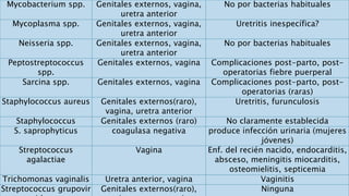 Mycobacterium spp. Genitales externos, vagina,
uretra anterior
No por bacterias habituales
Mycoplasma spp. Genitales externos, vagina,
uretra anterior
Uretritis inespecífica?
Neisseria spp. Genitales externos, vagina,
uretra anterior
No por bacterias habituales
Peptostreptococcus
spp.
Genitales externos, vagina Complicaciones post-parto, post-
operatorias fiebre puerperal
Sarcina spp. Genitales externos, vagina Complicaciones post-parto, post-
operatorias (raras)
Staphylococcus aureus Genitales externos(raro),
vagina, uretra anterior
Uretritis, furunculosis
Staphylococcus Genitales externos (raro) No claramente establecida
S. saprophyticus coagulasa negativa produce infección urinaria (mujeres
jóvenes)
Streptococcus
agalactiae
Vagina Enf. del recién nacido, endocarditis,
absceso, meningitis miocarditis,
osteomielitis, septicemia
Trichomonas vaginalis Uretra anterior, vagina Vaginitis
Streptococcus grupovir Genitales externos(raro), Ninguna
 