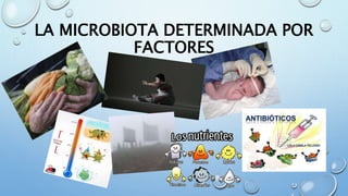 LA MICROBIOTA DETERMINADA POR
FACTORES
 