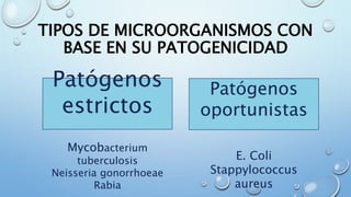 TIPOS DE MICROORGANISMOS CON
BASE EN SU PATOGENICIDAD
Patógenos
estrictos
Mycobacterium
tuberculosis
Neisseria gonorrhoeae
Rabia
Patógenos
oportunistas
E. Coli
Stappylococcus
aureus
 