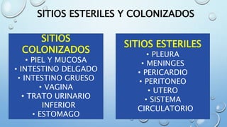 SITIOS ESTERILES Y COLONIZADOS
SITIOS
COLONIZADOS
• PIEL Y MUCOSA
• INTESTINO DELGADO
• INTESTINO GRUESO
• VAGINA
• TRATO URINARIO
INFERIOR
• ESTOMAGO
SITIOS ESTERILES
• PLEURA
• MENINGES
• PERICARDIO
• PERITONEO
• UTERO
• SISTEMA
CIRCULATORIO
 