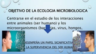 Microbiota del ser humano