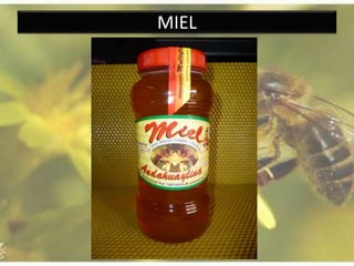 MIEL
 