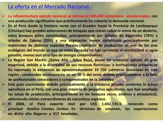 La oferta en el Mercado Nacional.-
 La infraestructura apícola nacional se estima en 300,000 colmenares standarizadas, con
una producción significativa que prácticamente ha cubierto la demanda nacional.
 En el Perú desde la frontera norte con el Ecuador hasta la Provincia de Lambayeque
(Chiclayo) hay grandes extensiones de bosques que crecen sobre la arena de un desierto,
estos bosques están constituidos, principalmente por árboles de Algarrobo (70%) y
árboles de Zapote (20%) y una vegetación menor constituida principalmente por
matorrales de distintas especies florales.(ambiente de producción es uno de los mas
ecológicos del mundo ya que en estos bosques no hay carreteras ni electricidad ni agua
potable, menos aun otro tipo de energía contaminante).
 La Región San Martín ,(Selva Alta - Selva Baja), posee un potencial apícola de gran
magnitud, debido a la diversidad de sus recursos florísticos- e Instituciones privadas se
ha reportado la existencia de aproximadamente 33 250 colmenas instaladas en esta
región , conducidos técnicamente en un 30 % del total, debido principalmente a la falta
de profesionales conocedores y compenetrados en la actividad
 Este gran crecimiento debido principalmente a la iniciativa privada conforma la actual
apicultura en el Perú, con una gran mayoría de pequeños apicultores, que han ampliado
las zonas de producción, principalmente en los bosques secos, andinos y amazónicos,
obteniendo mieles extraordinarias de naturaleza orgánica.
 El 2004, el Perú exportó miel por US$ 1.042,735.5 teniendo como
principal destino Estados Unidos. En términos de volumen, las exportaciones
en dicho año llegaron a 517 toneladas.
 