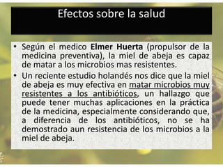 Efectos sobre la salud
• Según el medico Elmer Huerta (propulsor de la
medicina preventiva), la miel de abeja es capaz
de matar a los microbios mas resistentes.
• Un reciente estudio holandés nos dice que la miel
de abeja es muy efectiva en matar microbios muy
resistentes a los antibióticos, un hallazgo que
puede tener muchas aplicaciones en la práctica
de la medicina, especialmente considerando que,
a diferencia de los antibióticos, no se ha
demostrado aun resistencia de los microbios a la
miel de abeja.
 
