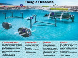 Energía Oceánica
1. SERPIENTES MARINAS
Los segmentos del convertidor de
energía de las olas son del tamaño
de vagones de tren y ondulan en la
superficie para mover cilindros
hidráulicos internos.
Desarrollado por Pelamis Wave
Power.
- Longitud 180 metros
- Peso 1400 toneladas.
2. VENTILADORES
Aparatos similares a las
turbinas de viento que
giran con los cambios de
las mareas.
Desarrollado por Verdant
Power.
- Diámetro del rotor
- 5 a 11 metros.
3. COMETAS
Grupos de pequeñas
turbinas ancladas con
líneas al piso marino o al
fondo de los ríos pueden
generar energía a partir de
flujos relativamente bajos.
Desarrollado por UEK
Corporation.
- Diámetro 2.5 metros
4. PALETAS
Con bisagras como la concha
de un ostión, las tapas
flotantes empujan el agua a
través de un conducto de alta
presión para impulsar una
turbina en tierra.
Desarrollado por Aquamarine
Power.
- Altura 12 metros
1
2
3
4
 