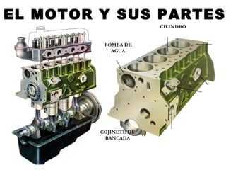 CILINDRO
COJINETE DE
BANCADA
BOMBA DE
AGUA
EL MOTOR Y SUS PARTES
 