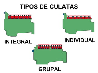 TIPOS DE CULATAS
INTEGRAL INDIVIDUAL
GRUPAL
 