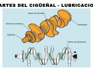 ARTES DEL CIGÜEÑAL - LUBRICACIO
 