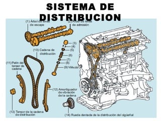 SISTEMA DE
DISTRIBUCION
 