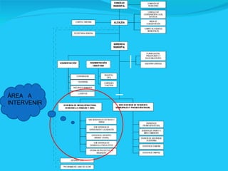 ÁREA  A INTERVENIR 