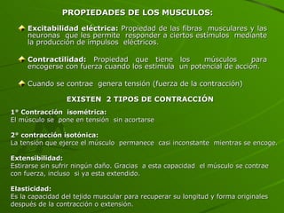 Excitabilidad eléctrica:  Propiedad de las fibras  musculares y las neuronas  que les permite  responder a ciertos estímulos  mediante la producción de impulsos  eléctricos. Contractilidad:  Propiedad que tiene los  músculos  para encogerse con fuerza cuando los estimula  un potencial de acción. Cuando se contrae  genera tensión (fuerza de la contracción) PROPIEDADES DE LOS MUSCULOS:  1° Contracción  isométrica: El músculo se  pone en tensión  sin acortarse 2° contracción isotónica: La tensión que ejerce el músculo  permanece  casi inconstante  mientras se encoge. Extensibilidad:   Estirarse sin sufrir ningún daño. Gracias  a esta capacidad  el músculo se contrae  con fuerza, incluso  si ya esta extendido. Elasticidad:   Es la capacidad del tejido muscular para recuperar su longitud y forma originales después de la contracción o extensión. EXISTEN  2 TIPOS DE CONTRACCIÓN 