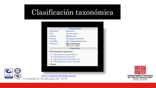 Clasificación taxonómica
https://es.wikipedia.org/wiki/Mycoplasma.
 
