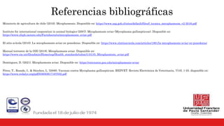 Referencias bibliográficas
Ministerio de agricultura de chile (2016). Micoplasmosis. Disponible en: https://www.sag.gob.cl/sites/default/files/f_tecnica_micoplasmosis_v2-2016.pdf
Institute for international cooperation in animal biologics (2007). Micoplasmosis aviar (Mycoplasma gallisepticum). Disponible en:
https://www.cfsph.iastate.edu/Factsheets/es/micoplasmosis_aviar.pdf
El sitio avícola (2010). La micoplasmosis aviar en ponedoras. Disponible en: https://www.elsitioavicola.com/articles/1861/la-micoplasmosis-aviar-en-ponedoras/
Manual terrestre de la OIE (2018). Micoplasmosis aviar. Disponible en:
https://www.oie.int/fileadmin/Home/esp/Health_standards/tahm/3.03.05_Micoplasmosis_aviar.pdf
Domínguez, D. (2021). Micoplasmosis aviar. Disponible en: https://extension.psu.edu/micoplasmosis-aviar
Pérez, T., Rosado, I., & Sánchez, L. (2006). Vacunas contra Mycoplasma gallisepticum. REDVET. Revista Electrónica de Veterinaria, 7(10), 1-25. disponible en:
https://www.redalyc.org/pdf/636/63617167032.pdf
 