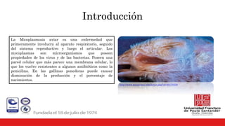Introducción
La Micoplasmosis aviar es una enfermedad que
primeramente involucra al aparato respiratorio, seguido
del sistema reproductivo y luego el articular. Los
mycoplasmas son microorganismos que poseen
propiedades de los virus y de las bacterias. Poseen una
pared celular que más parece una membrana celular, lo
que los vuelve resistentes a algunos antibióticos como la
penicilina. En las gallinas ponedoras puede causar
disminución de la producción y el porcentaje de
nacimientos.
http://www.maizysoya.com/lector.php?id=20170330
 