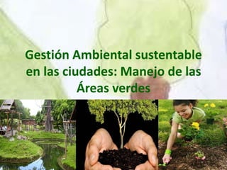 Gestión Ambiental sustentable
en las ciudades: Manejo de las
Áreas verdes
 