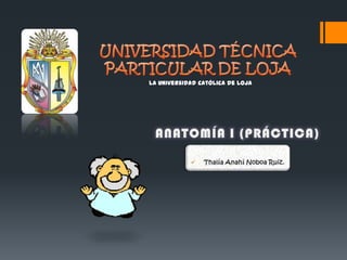 La Universidad Católica de Loja

 