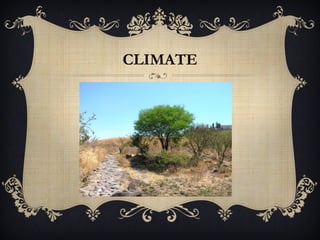 CLIMATE

 