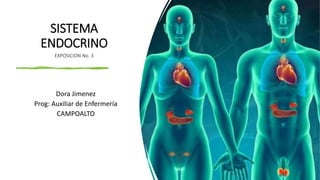 SISTEMA
ENDOCRINO
EXPOSICION No. 3
Dora Jimenez
Prog: Auxiliar de Enfermería
CAMPOALTO
 