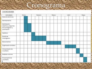 Cronograma
 