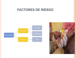FACTORES DE RIESGO 
Socio-económicos 
Ambientales 
Nutricionales 
Psicosociales y 
comportamentales 
Biológicos Otros 
 