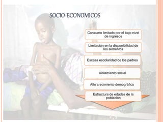 SOCIO-ECONOMICOS 
Consumo limitado por el bajo nivel 
de ingresos 
Limitación en la disponibilidad de 
los alimentos 
Escasa escolaridad de los padres 
Aislamiento social 
Alto crecimiento demográfico 
Estructura de edades de la 
población 
 