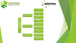 Fases
Fase 1: Visión organizativa
Activos
Amenazas
Practicas Actuales
Requerimientos de
seguridad
Fase 2:Visiòn tecnológica
Componentes claves
Vulnerabilidades técnicas
Fase 3: Estrategia y
desarrollo del plan
Riesgos
Estrategia de protección
Planes de mitigación
 