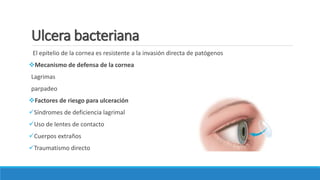 Ulcera bacteriana
El epitelio de la cornea es resistente a la invasión directa de patógenos
Mecanismo de defensa de la cornea
Lagrimas
parpadeo
Factores de riesgo para ulceración
Síndromes de deficiencia lagrimal
Uso de lentes de contacto
Cuerpos extraños
Traumatismo directo
 