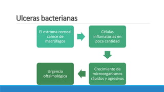Ulceras bacterianas
El estroma corneal
carece de
macrófagos
Células
inflamatorias en
poca cantidad
Crecimiento de
microorganismos
rápidos y agresivos
Urgencia
oftalmológica
 