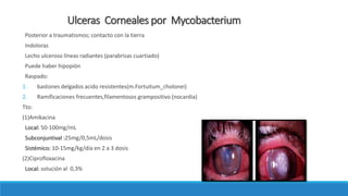 Ulceras Corneales por Mycobacterium
Posterior a traumatismos; contacto con la tierra
Indoloras
Lecho ulceroso líneas radiantes (parabrisas cuartiado)
Puede haber hipopión
Raspado:
1. bastones delgados acido resistentes(m.Fortuitum_cholonei)
2. Ramificaciones frecuentes,filamentosos grampositivo (nocardia)
Tto:
(1)Amikacina
Local: 50-100mg/mL
Subconjuntival :25mg/0,5mL/dosis
Sistémico: 10-15mg/kg/día en 2 a 3 dosis
(2)Ciprofloxacina
Local: solución al 0,3%
 