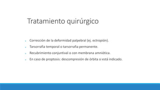 Tratamiento quirúrgico
● Corrección de la deformidad palpebral (ej. ectropión).
● Tarsorrafia temporal o tarsorrafia permanente.
● Recubrimiento conjuntival o con membrana amniótica.
● En caso de proptosis: descompresión de órbita si está indicado.
 