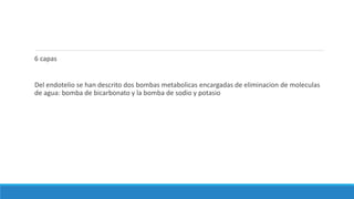 6 capas
Del endotelio se han descrito dos bombas metabolicas encargadas de eliminacion de moleculas
de agua: bomba de bicarbonato y la bomba de sodio y potasio
 
