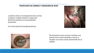 TRASPLANTE DE CORNEA Y DONACIÓN DE OJOS
cuando la visión y la transparencia de la cornea
se afectan se debe estudiar la reparación
definitiva mediante una queratoplastia
penetrante.
Es la única parte de transplante del ojo.
Técnicamente lo que se hace es extirpar una
porción de la cornea afectada y suturar al
receptor una nueva cornea proveniente de un
cadáver.
 
