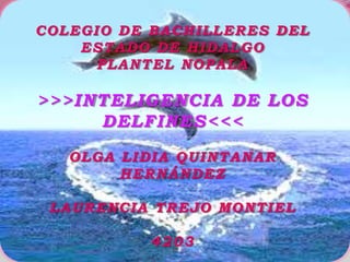 COLEGIO DE BACHILLERES DEL
    ESTADO DE HIDALGO
      PLANTEL NOPALA

>>>INTELIGENCIA DE LOS
     DELFINES<<<
   OLGA LIDIA QUINTANAR
        HERNÁNDEZ

 LAURENCIA TREJO MONTIEL

          4203
 